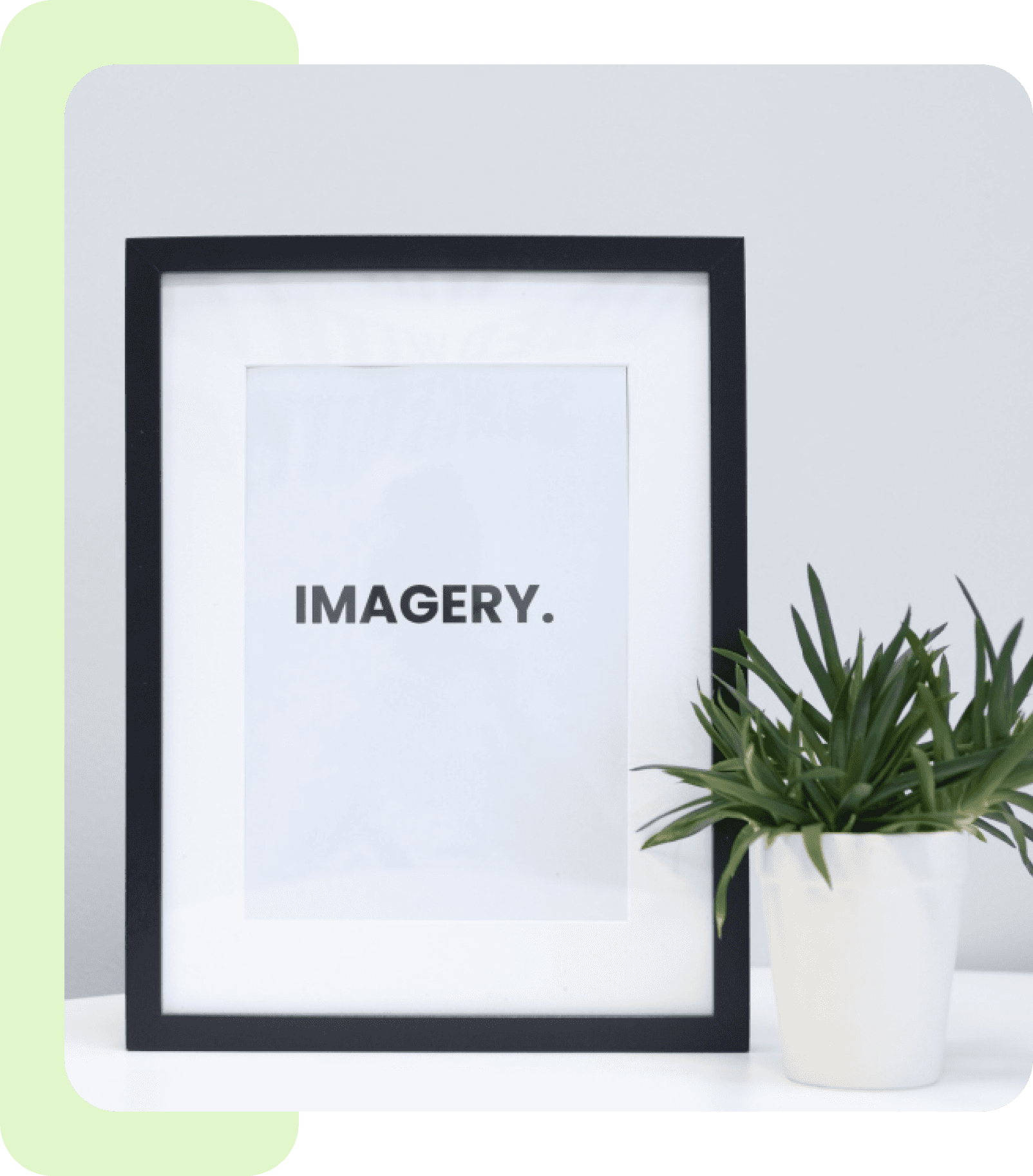 Professional Photography For Your Website