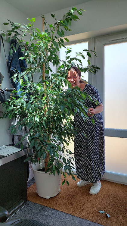 Lucy-with-our-new-ficus