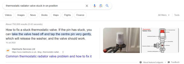 Featured Snippets